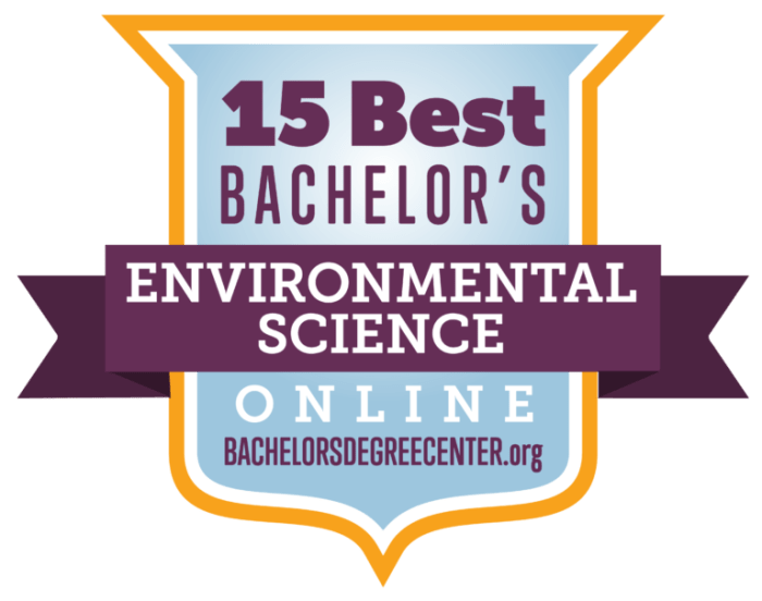 Education environment online course
